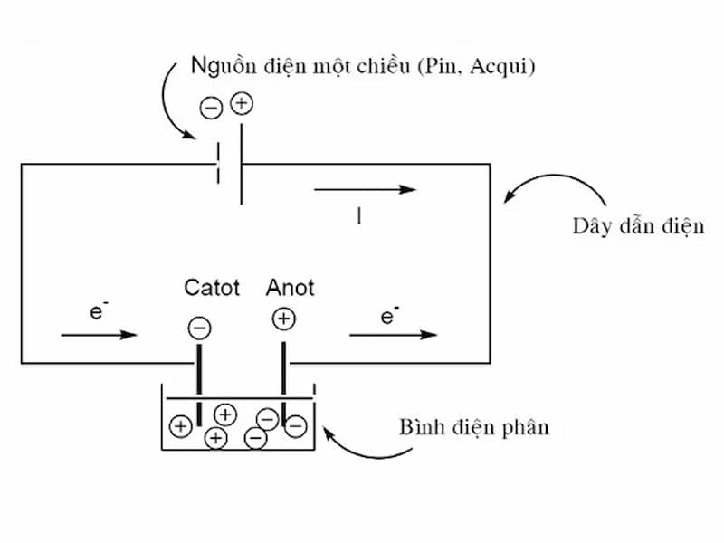 Có hai loại điện phân phổ biến