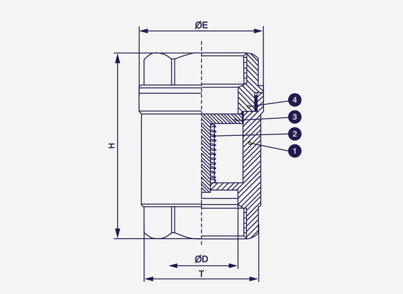 Spring check valve