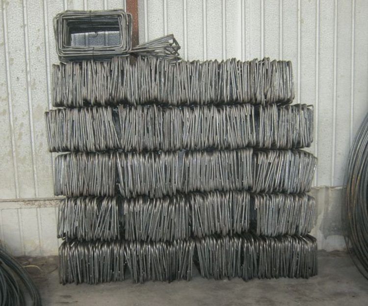 Đai Sắt (Tai Dê)